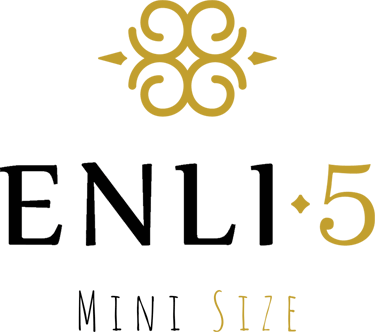 e5mini.lt - Mini Size